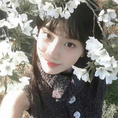 牛的战争