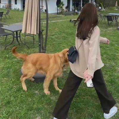 梦之安魂曲